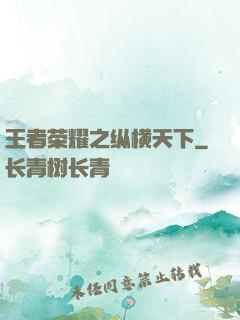 王者荣耀之纵横天下