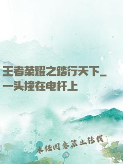 王者荣耀之踏行天下
