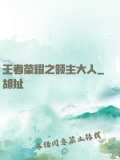 王者荣耀之领主大人