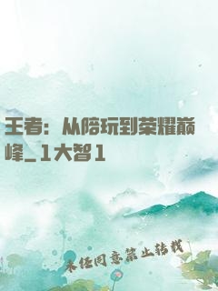 王者：从陪玩到荣耀巅峰