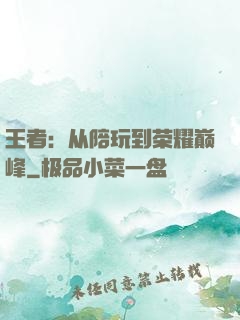 王者：从陪玩到荣耀巅峰