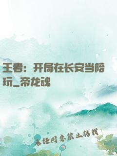 王者：开局在长安当陪玩