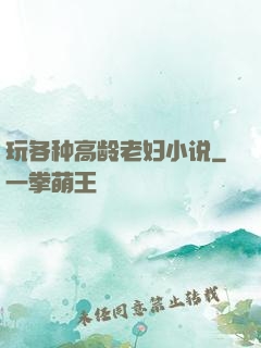 玩各种高龄老妇小说