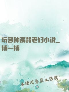 玩各种高龄老妇小说
