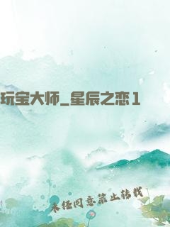 玩宝大师