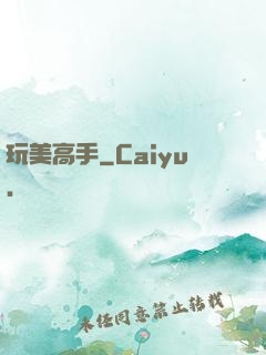 玩美高手