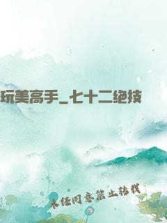 玩美高手