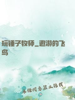 玩锤子牧师