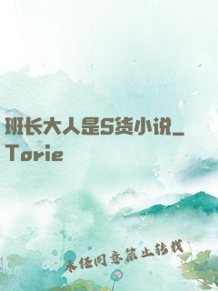 班长大人是S货小说