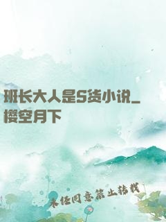 班长大人是S货小说