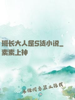 班长大人是S货小说