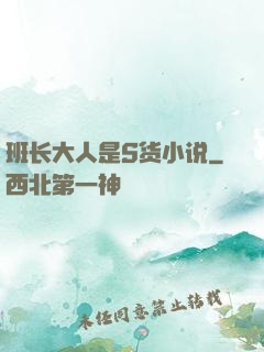 班长大人是S货小说