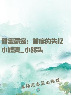 甜蜜霸宠：首席的失忆小娇妻