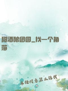 甜酒酿团圆