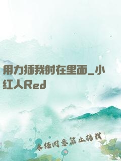用力插我射在里面