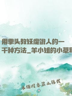 用拳头教妖魔做人的一千种方法