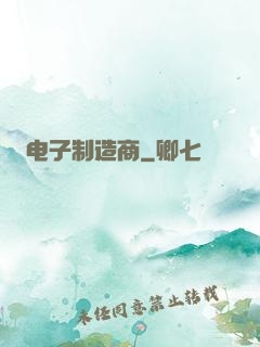 电子制造商