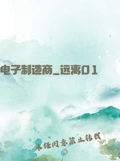 电子制造商