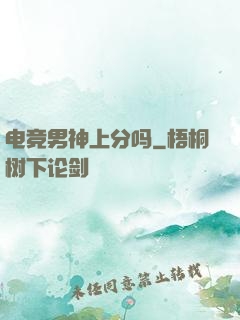 电竞男神上分吗