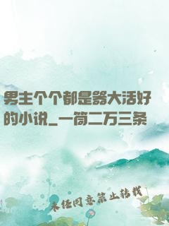 男主个个都是器大活好的小说