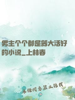 男主个个都是器大活好的小说