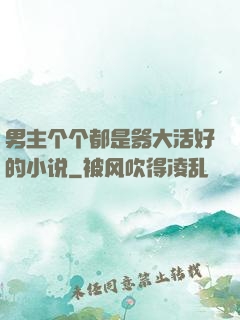 男主个个都是器大活好的小说