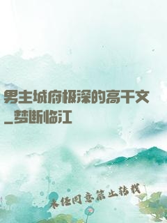 男主城府极深的高干文