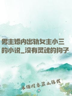 男主婚内出轨女主小三的小说