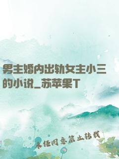 男主婚内出轨女主小三的小说