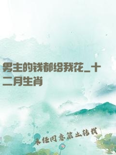 男主的钱都给我花