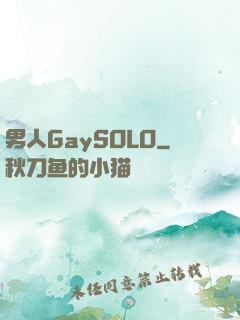 男人GaySOLO