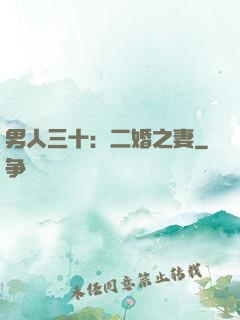 男人三十：二婚之妻