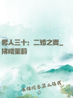 男人三十：二婚之妻