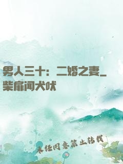 男人三十：二婚之妻