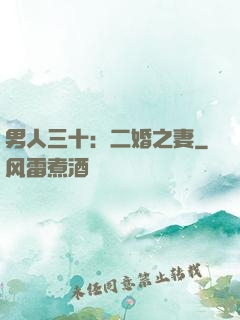 男人三十：二婚之妻