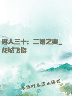 男人三十：二婚之妻