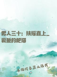 男人三十：扶摇直上