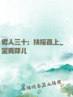 男人三十：扶摇直上