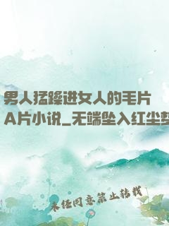 男人猛躁进女人的毛片A片小说