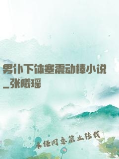 男仆下体塞震动棒小说