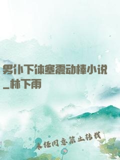 男仆下体塞震动棒小说