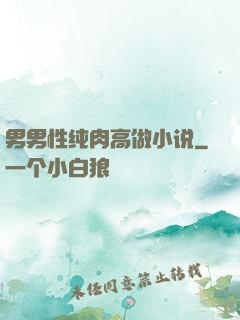 男男性纯肉高做小说