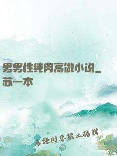 男男性纯肉高做小说