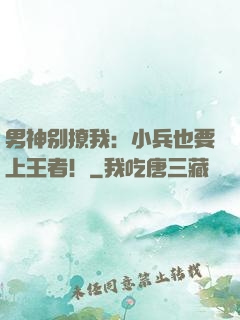 男神别撩我：小兵也要上王者！