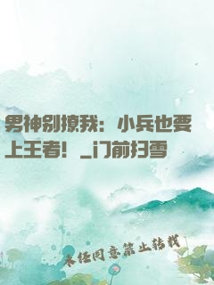 男神别撩我：小兵也要上王者！