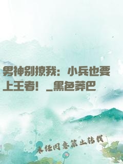 男神别撩我：小兵也要上王者！