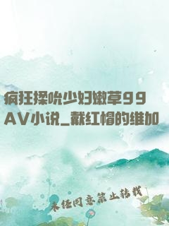疯狂揉吮少妇嫩草99AV小说