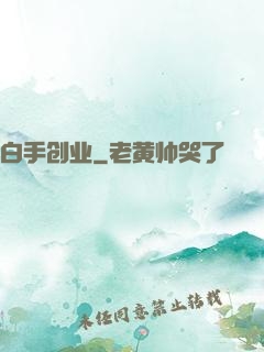 白手创业