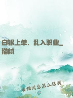 白银上单，乱入职业