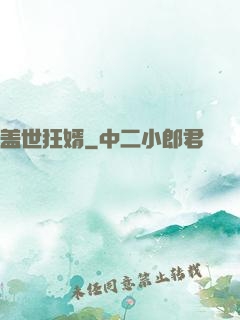 盖世狂婿